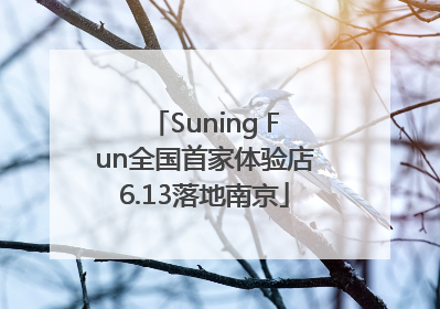 Suning Fun全国首家体验店6.13落地南京