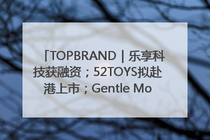 TOPBRAND｜乐享科技获融资；52TOYS拟赴港上市；Gentle Monster合作谷歌；Valentino传播官离职