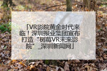 VR影院黄金时代来临！深圳报业集团宣布打造“树莓VR未来影院”_深圳新闻网